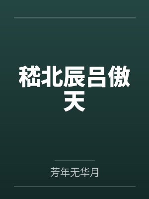 嵇北辰吕傲天