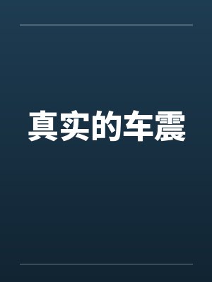 真实的车震