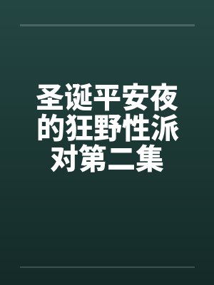 圣诞平安夜的狂野性派对第二集