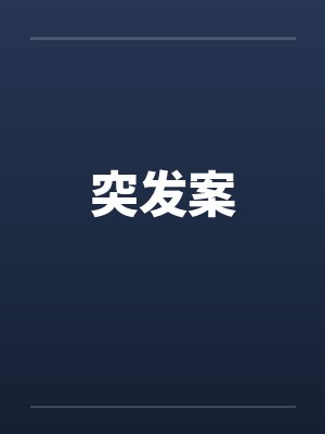 突发案