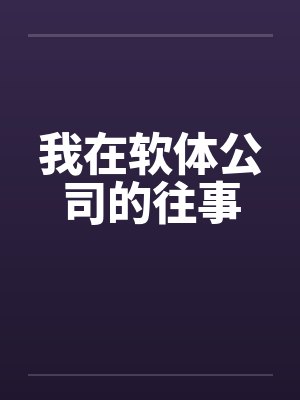 我在软体公司的往事