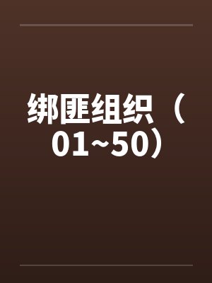 绑匪组织（01~50）